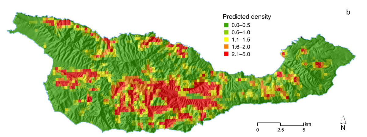 Island Scrub Jay density